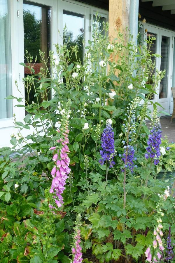 Bed&Breakfast Hoornaar Exterior foto